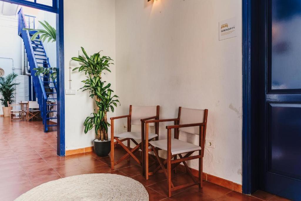 Ashavana Nest Hostel エル・メダノ エクステリア 写真