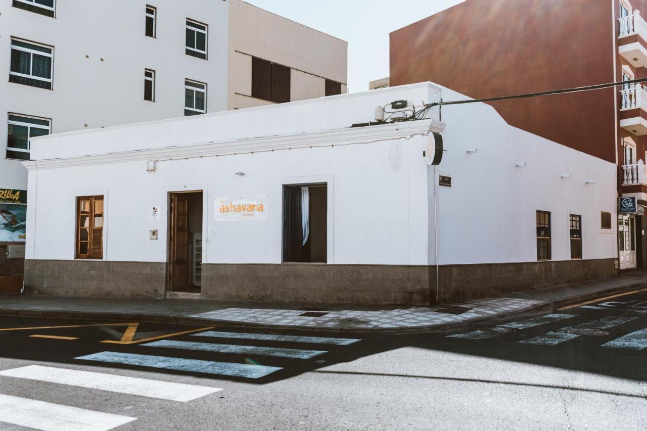 Ashavana Nest Hostel エル・メダノ エクステリア 写真