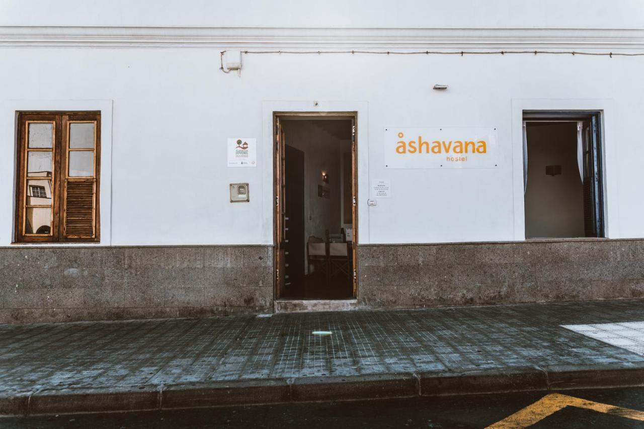 Ashavana Nest Hostel エル・メダノ エクステリア 写真