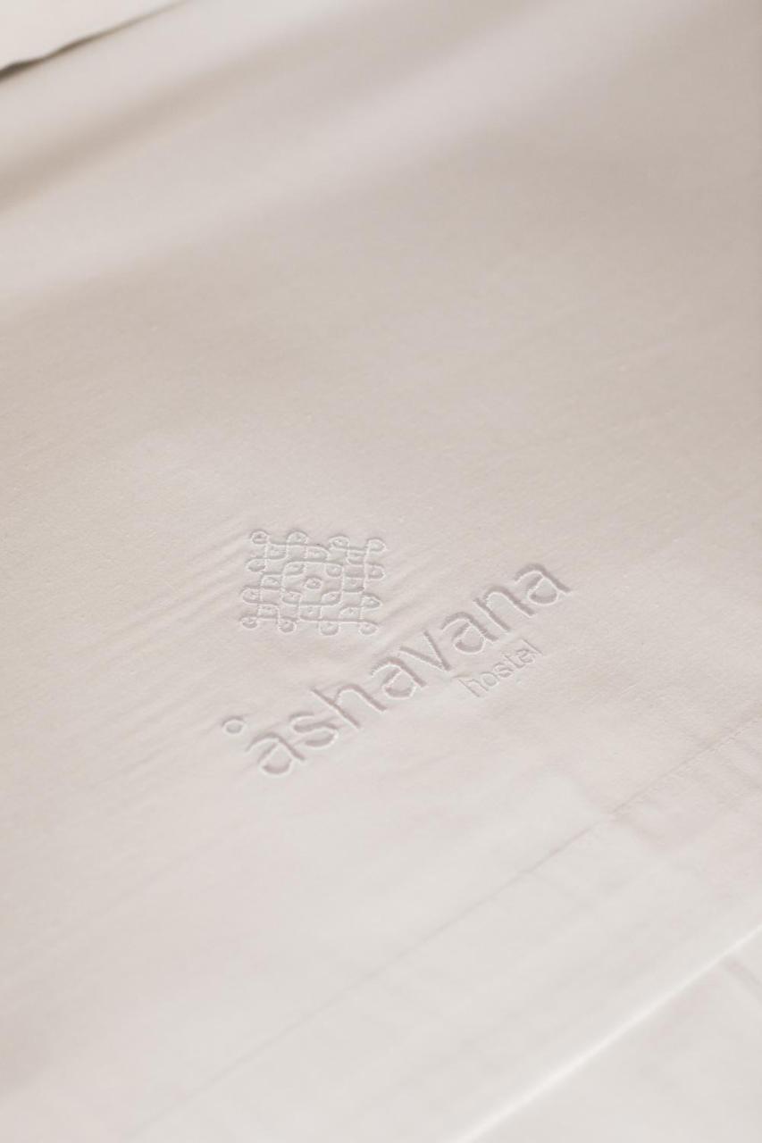 Ashavana Nest Hostel エル・メダノ エクステリア 写真